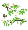 goldfinches on tree branches flat vector image vector image