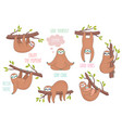 set of cute hand drawn sloths hanging on the tree vector image