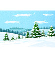 winter landscape with white pine trees on snow vector image