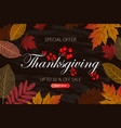 calligraphy thanksgiving day sale banner vector image