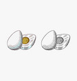 boiled egg with protein and yolk for breakfast vector image