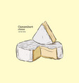 camembert cheese hand draw sketch vector image