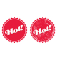 hot product retro grunge badges vector image