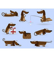 funny dogs vector image