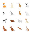 pet dogs icons vector image