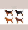 bloodhound clipart different coat colors vector image vector image