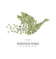 swan logo template design vector image