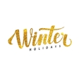 winter holidays card golden shiny glitter vector image