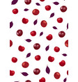 cherry fruits seamless pattern with red violet vector image