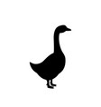 goose black silhouette symbol farm bird vector image