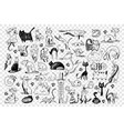 cats hand drawn doodle set vector image vector image