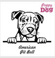 puppy american pit bull - peeking dogs breed vector image