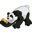 asia panda character with a can beer vector image vector image