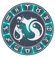 Zodiac sign Aquarius Royalty Free Vector Image