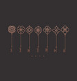 modern graphic key collection bronze vector image vector image