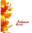 autumn watercolor leaves vector image vector image