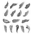 wings graphic vector image
