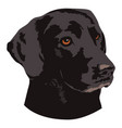 black dog animal logo vector image