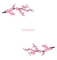 cute sakura flowers frame vector image