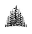black and white sketch of trees element for logos vector image