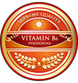 vitamin b6 icon vector image vector image