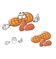 cartoon orange peanut and nuts vector image