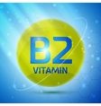 vitamin b2 icon vector image