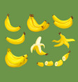 bananas food exotic tropical healthy fresh vector image vector image