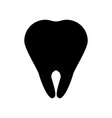 tooth icon silhouette on a white background vector image