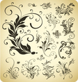 design ornament elements vector image