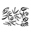 leaf icons isolated on white background vector image