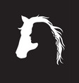 silhouette horse and woman logo vector image vector image