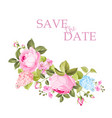congratulation card with roses vector image