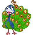 cute peacock isolated on white background vector image vector image
