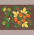 oklahoma russian pattern design vector image