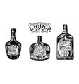 liquor in a glass bottle alcoholic beverage vector image
