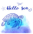 sea turtle on a blue background vector image