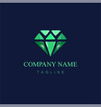 watercolor diamond logo design5 vector image