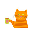orange funny cat with a mug of tea vector image