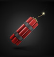 red dynamite vector image