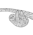 sloth coloring book for adults vector image