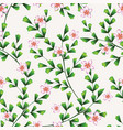 branch green seamless plumeria white background vector image