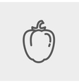 bell pepper thin line icon vector image