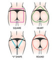 female bottoms shapes vector image vector image