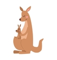 kangaroo cartoon australia animal with baby flat vector image