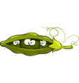 pod of peas vector image vector image