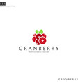 cranberry logo template vector image