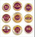 sale retro vintage golden badges and labels 11 vector image
