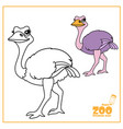 cute cartoon ostrich color and outlined vector image