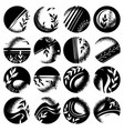 story highlights monochrome flora and leaves vector image